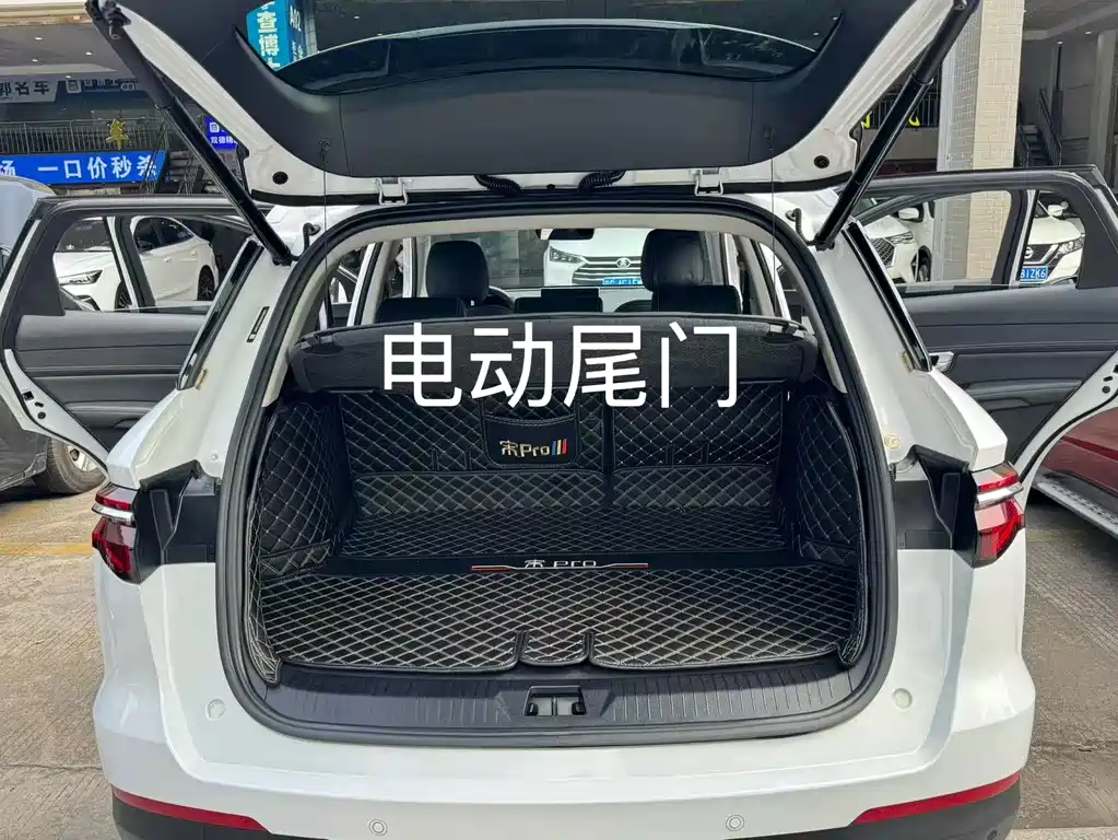BYD Pro — миниатюра 15