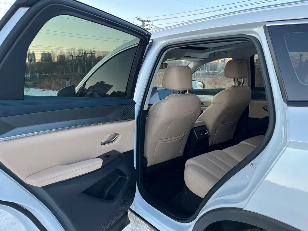 BYD SONGJIANG NEW ENERGY