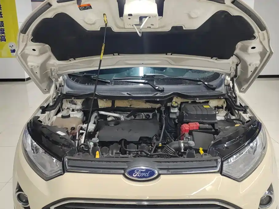 Ford Ecosport — миниатюра 10