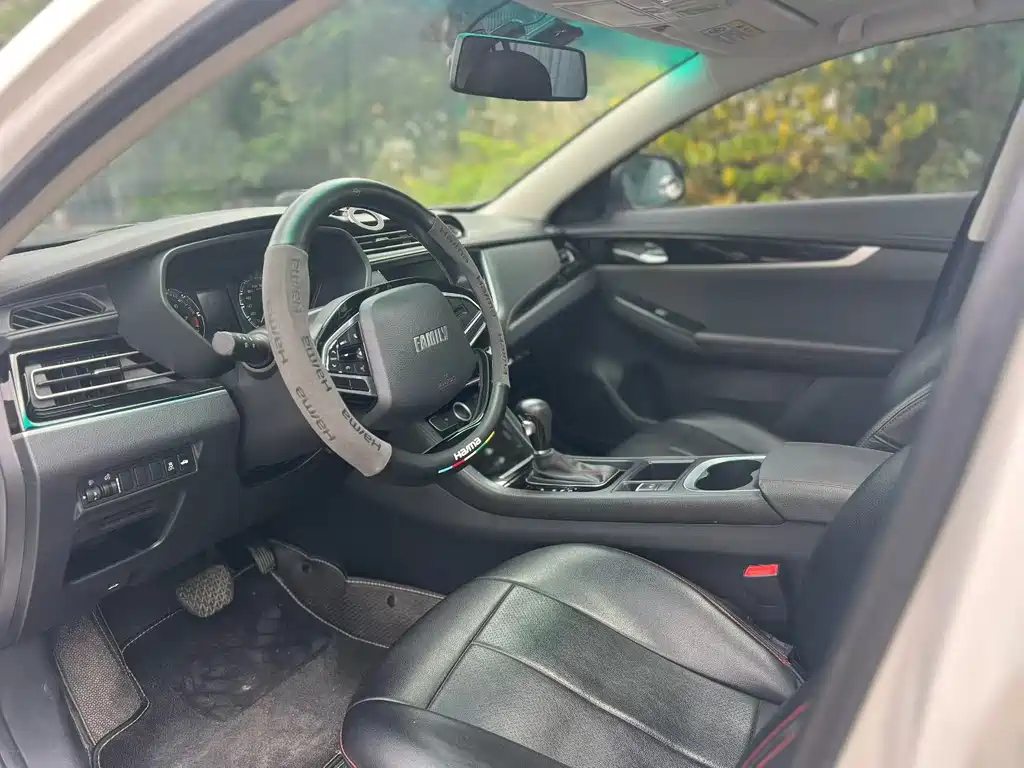 Haima Familia F5 — миниатюра 5