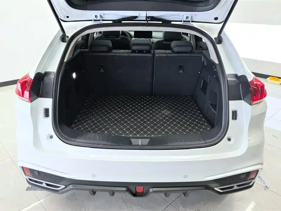 WEI PAI WEI BRAND VV5