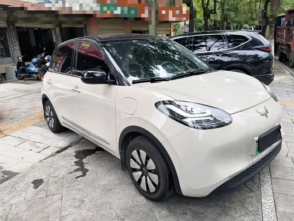 Wuling Binguo 2024 333km