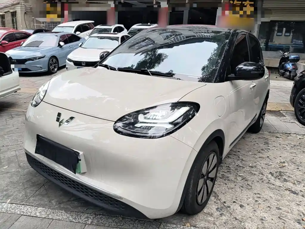 Wuling Binguo 2024 333km