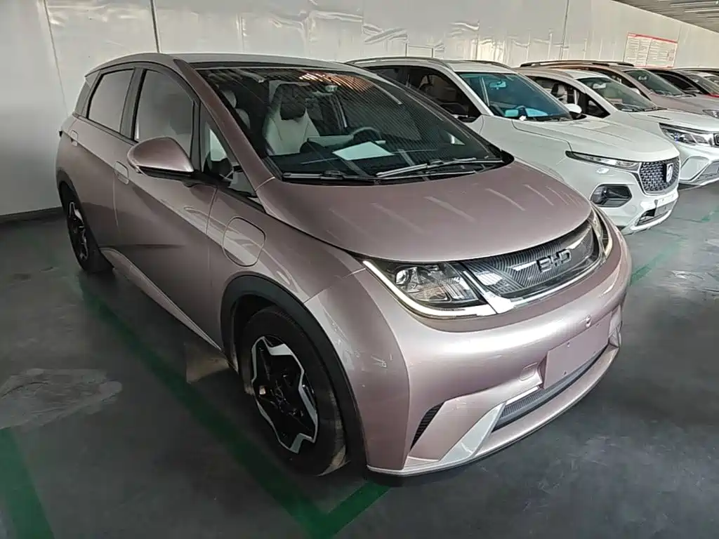 BYD Dolphin — миниатюра 4