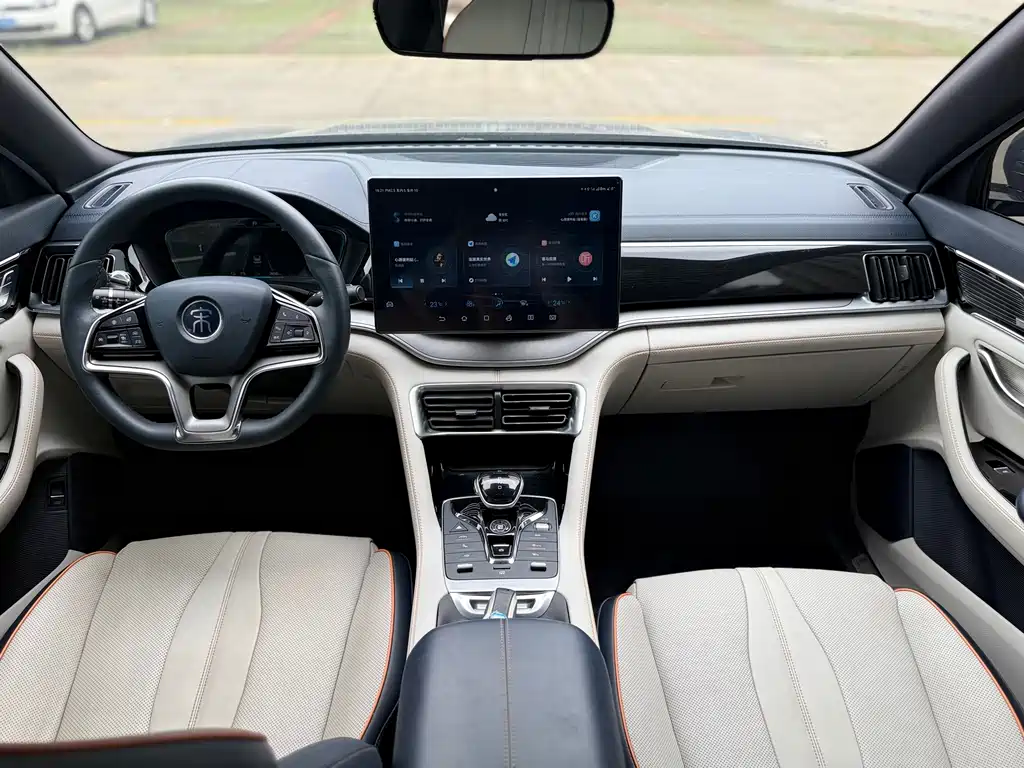 BYD PLUS New Energy — миниатюра 10