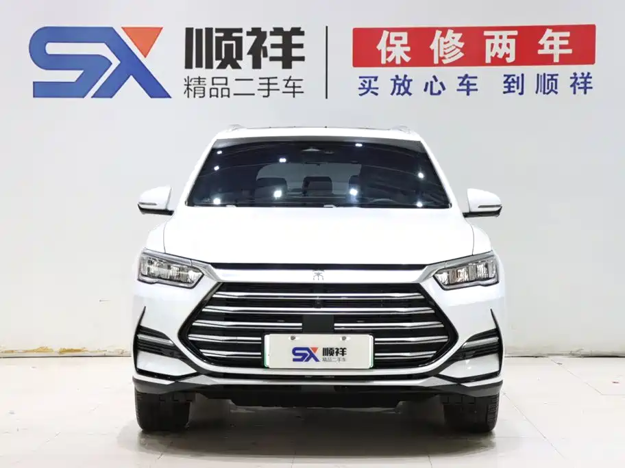 BYD Pro New Energy — миниатюра 2