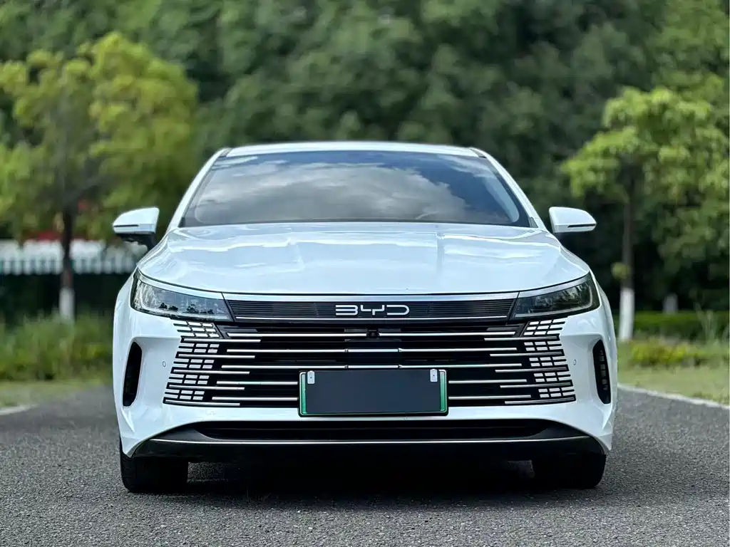BYD Destroyer 05 2023 Champion DM-i 55KM Luxury