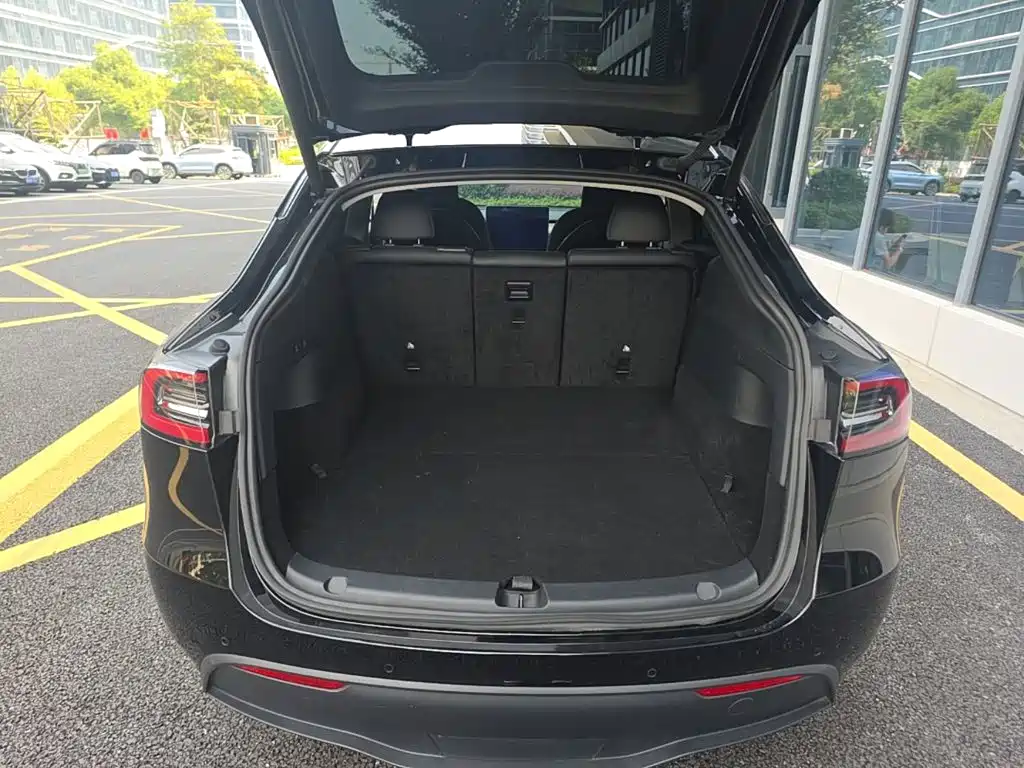 Tesla Model Y — миниатюра 19