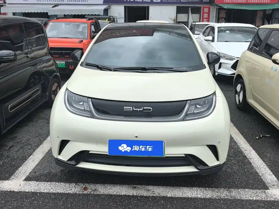BYD Dolphin — миниатюра 2
