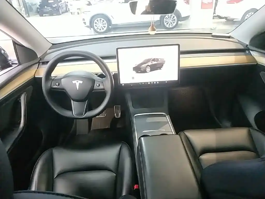 Tesla Model Y — миниатюра 10