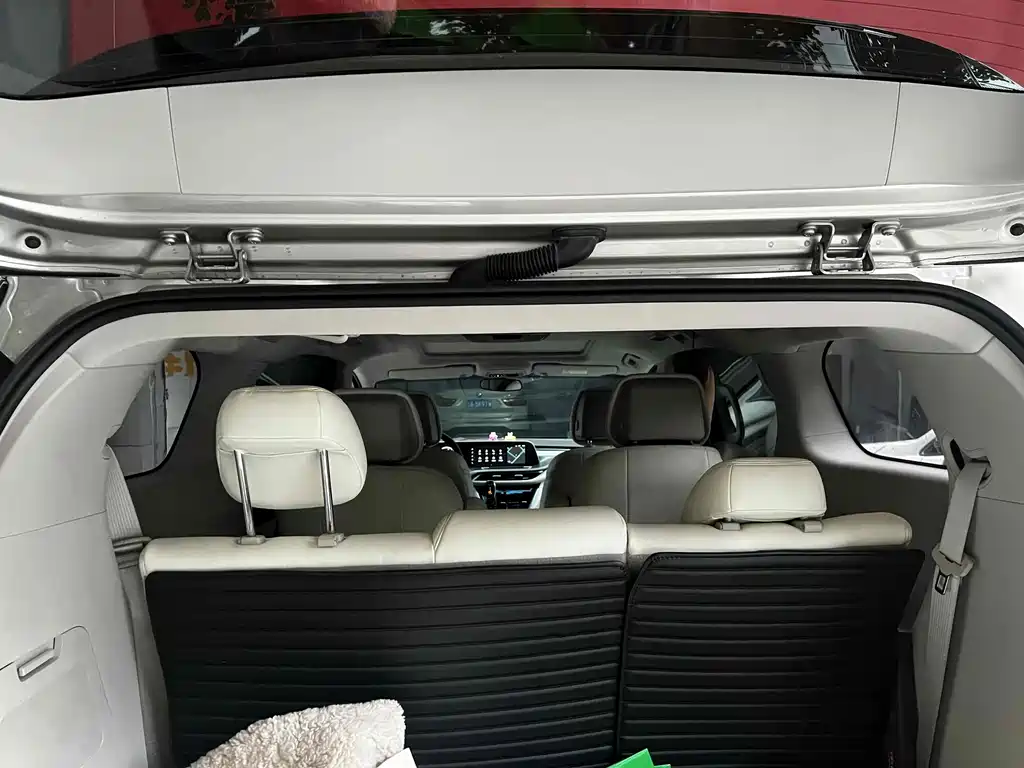 Buick GL8 — миниатюра 11