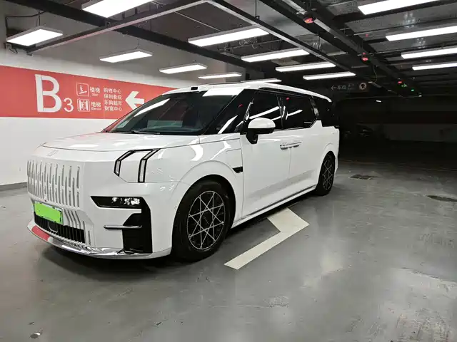 2025 Zeekr 009