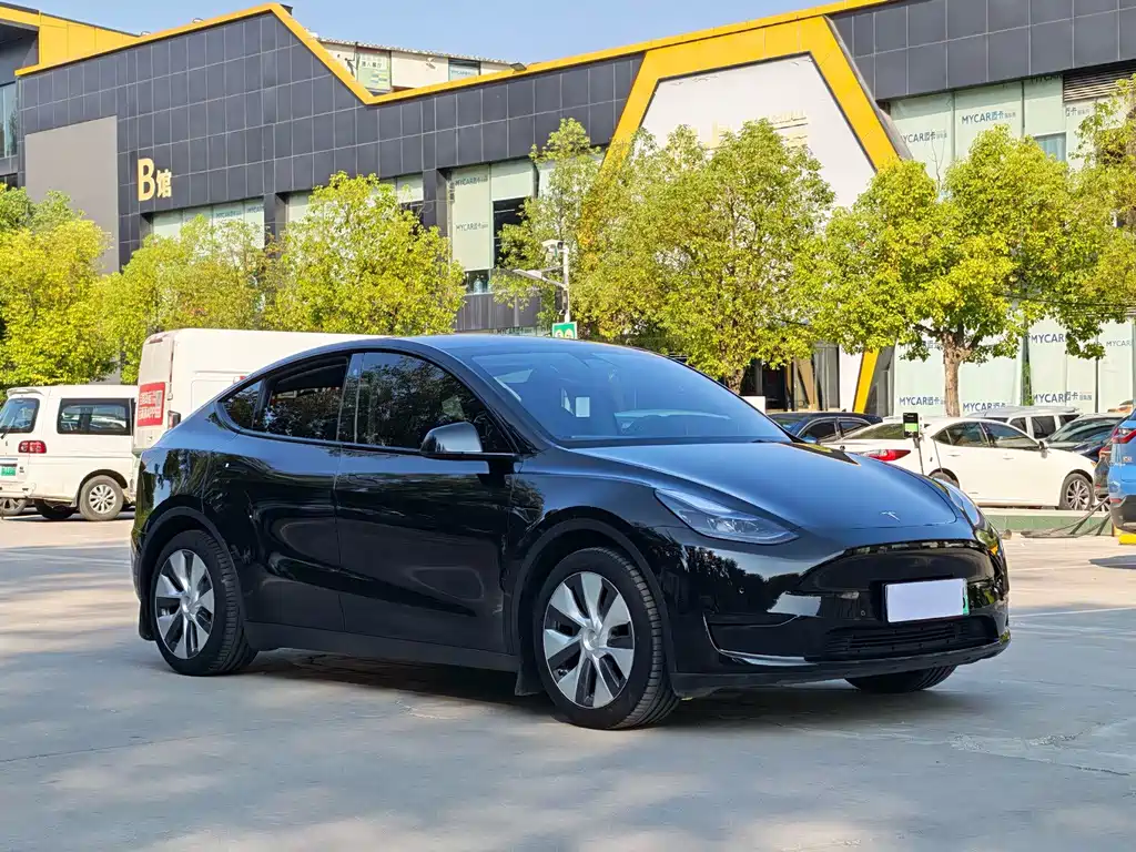 Tesla Model Y — миниатюра 3