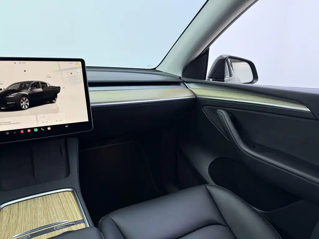 Tesla Model Y — миниатюра 10