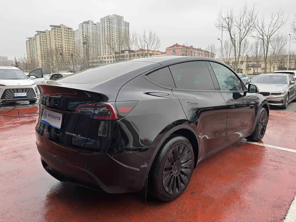 Tesla Model Y — миниатюра 6