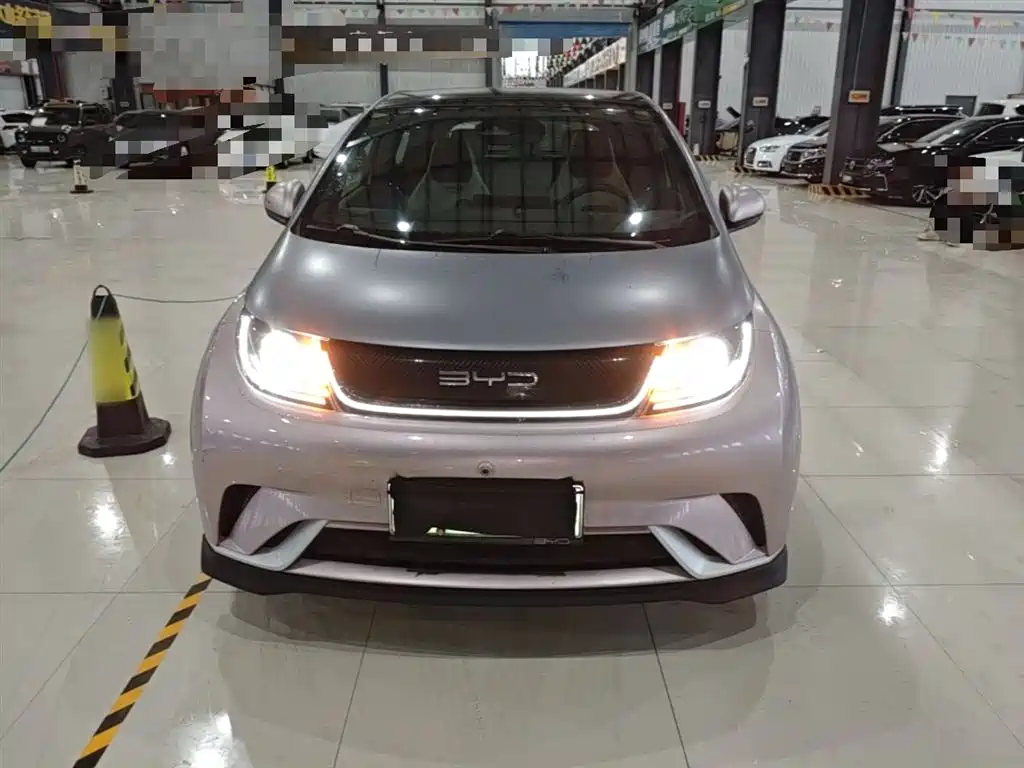 BYD Dolphin 2021 401km