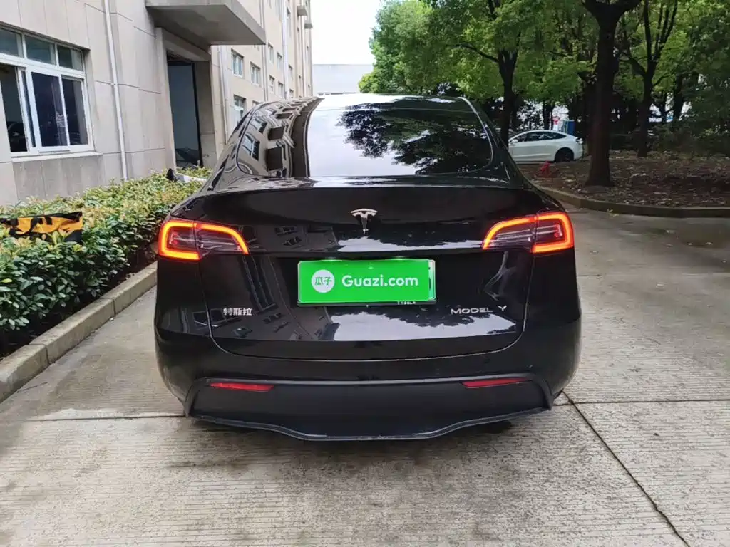 Tesla Model Y — миниатюра 6