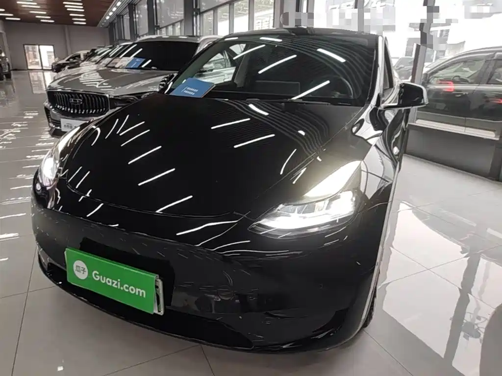 Tesla Model Y 2021 Standard Range RWD Edition