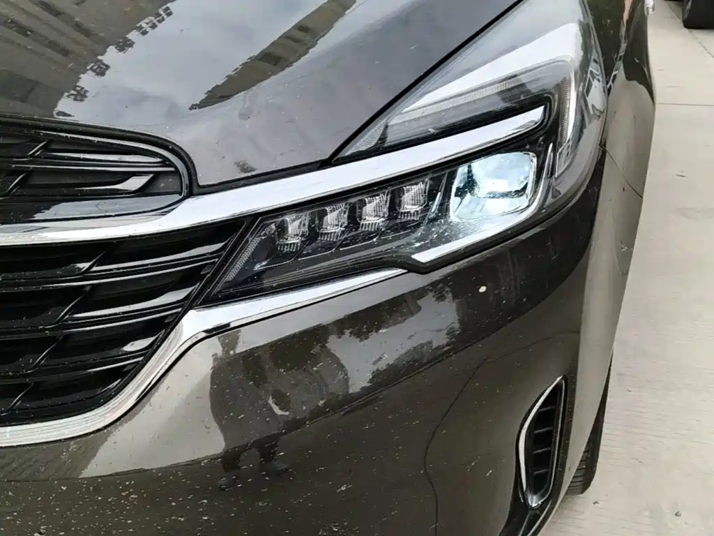 Buick GL8 — миниатюра 24