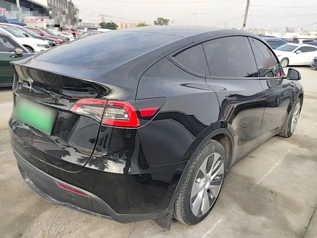 Tesla Model Y — миниатюра 7