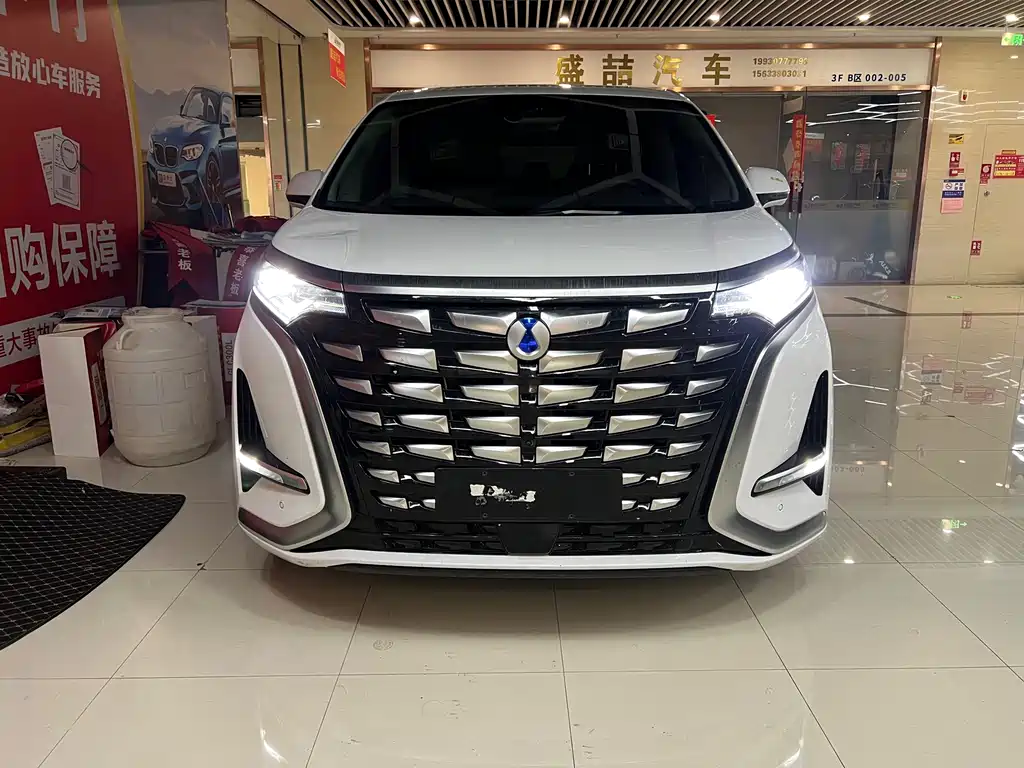 Denza Denza D9 — миниатюра 2