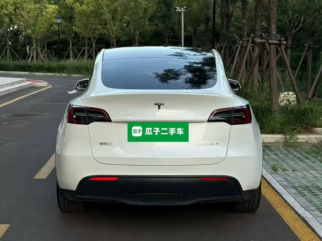 Tesla Model Y — миниатюра 6