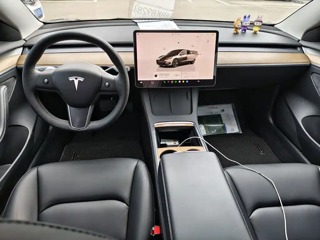 Tesla Model 3 — миниатюра 10