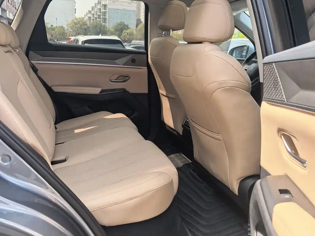 BYD SONGJIANG NEW ENERGY