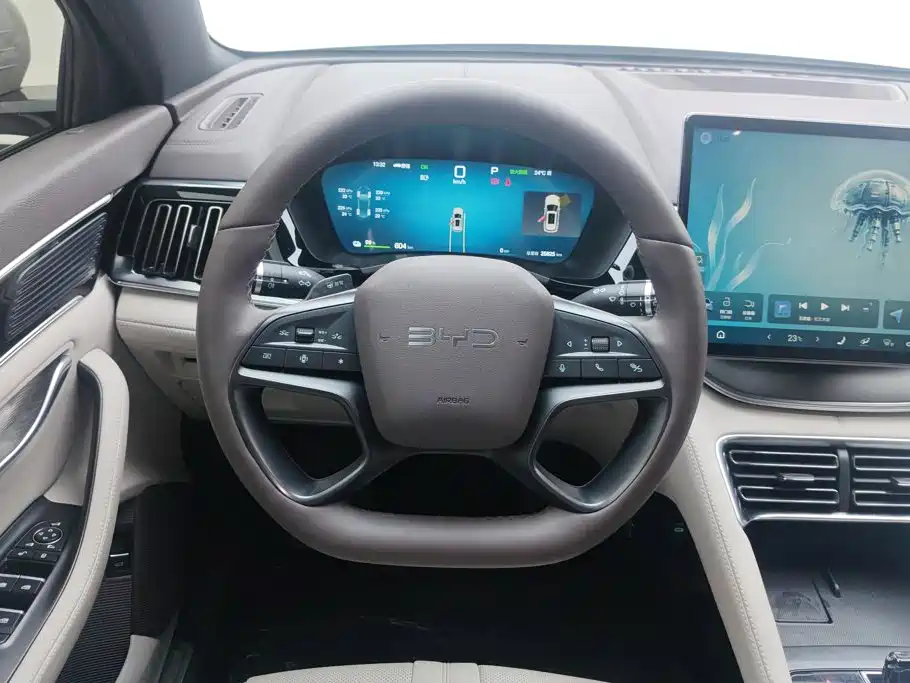BYD PLUS New Energy — миниатюра 15