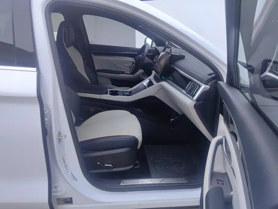 BYD PLUS New Energy — миниатюра 8