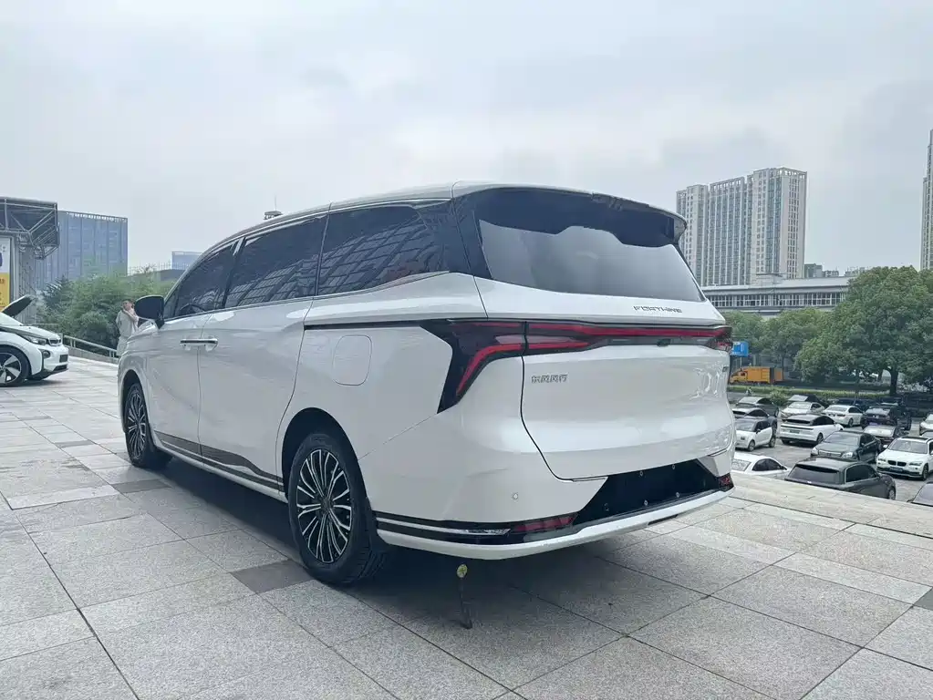 Dongfeng V9 2024 1.5TD 200km Premium