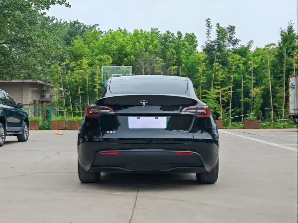 Tesla Model Y — миниатюра 7