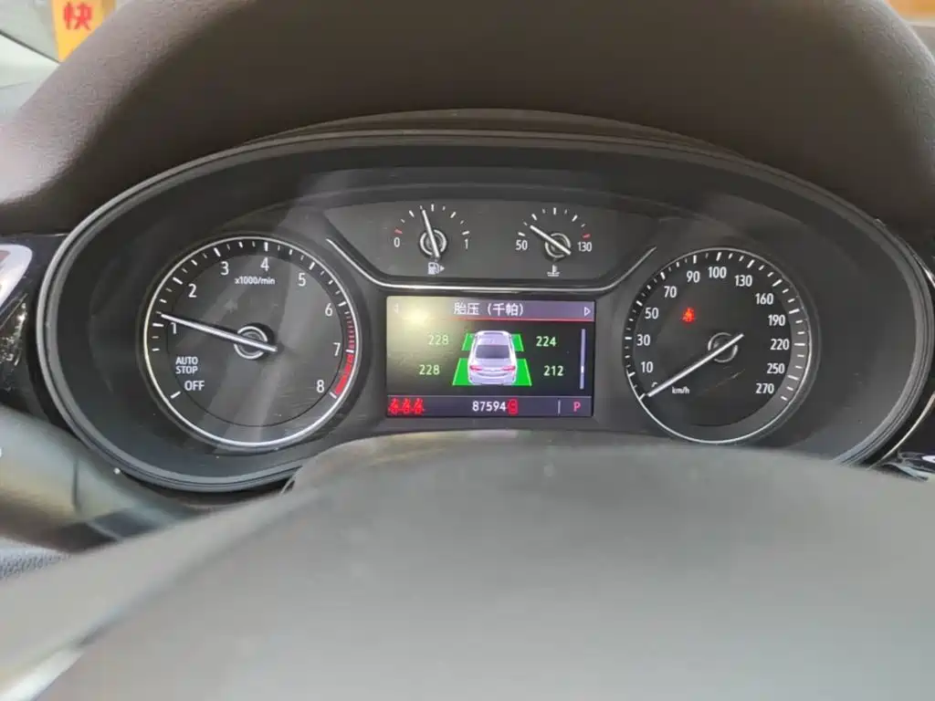 Buick Regal — миниатюра 12