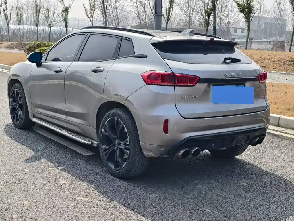 WEI PAI WEI BRAND VV7