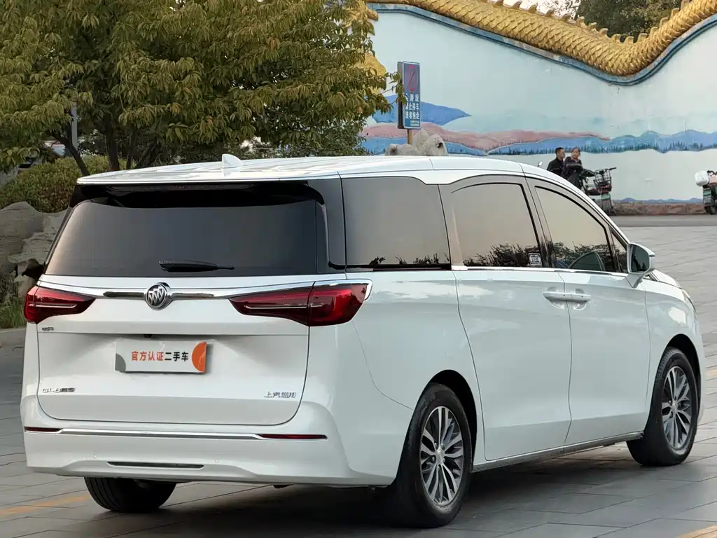 Buick GL8 — миниатюра 5