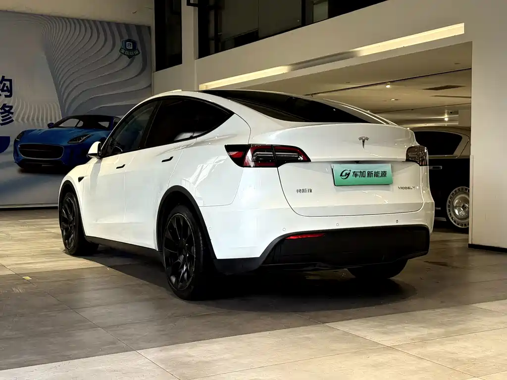 Tesla Model Y — миниатюра 7
