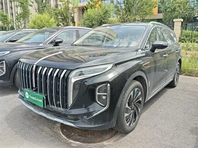 2024 Hongqi HS7