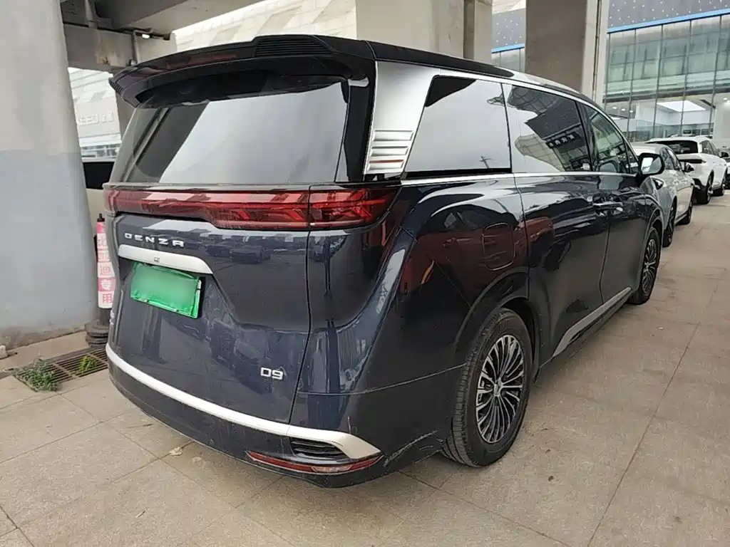 Denza Denza D9 — миниатюра 7