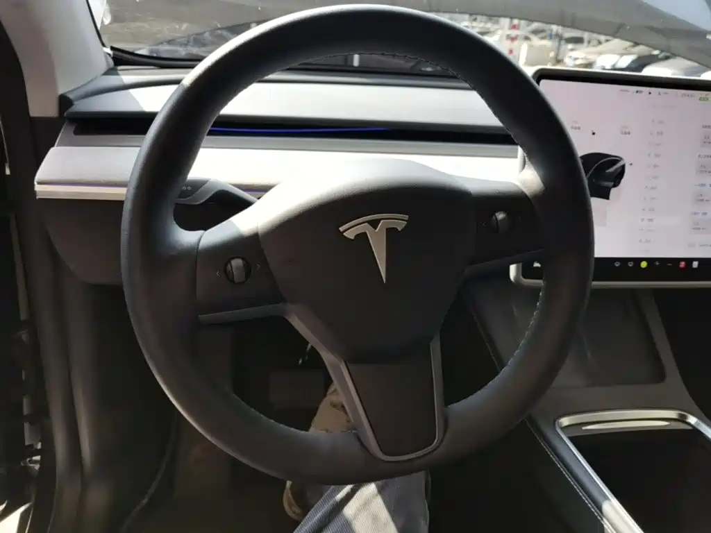 Tesla Model Y — миниатюра 11
