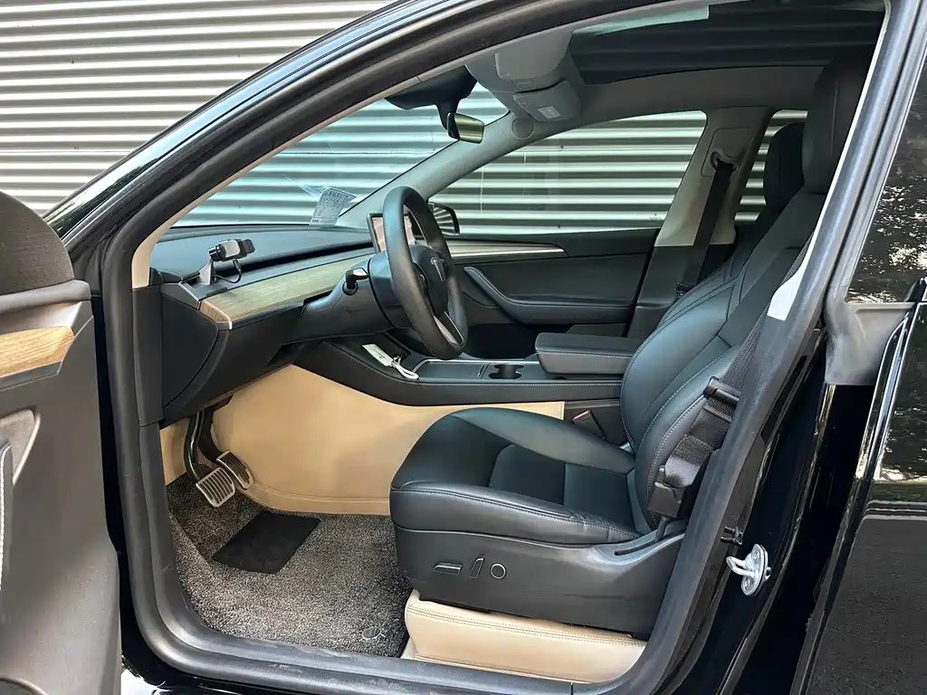 Tesla Model Y — миниатюра 6