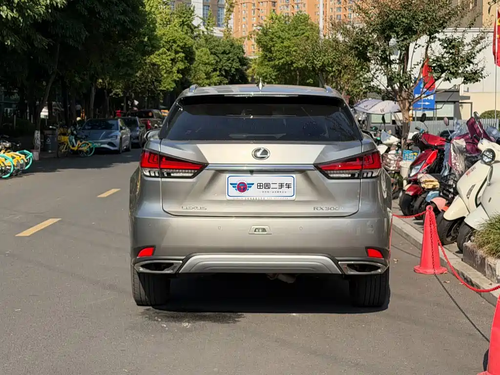 Lexus RX — миниатюра 5