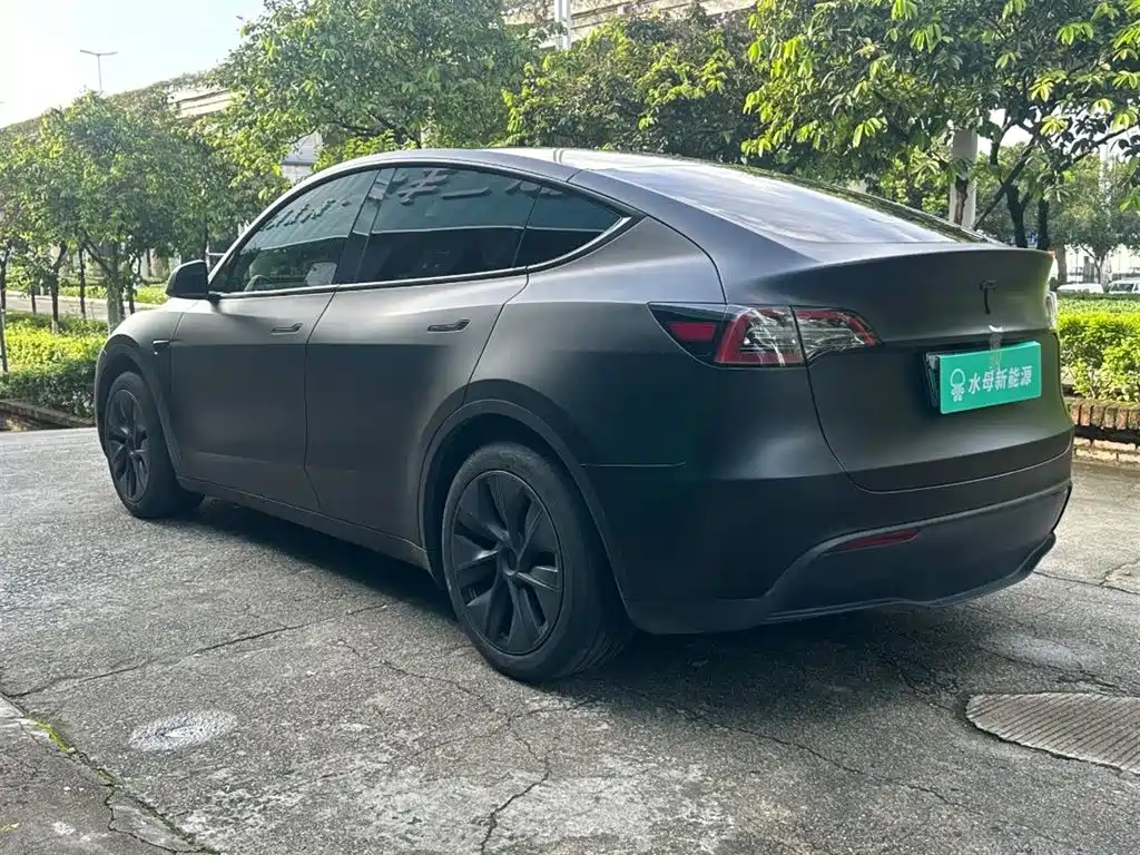 Tesla Model Y — миниатюра 6
