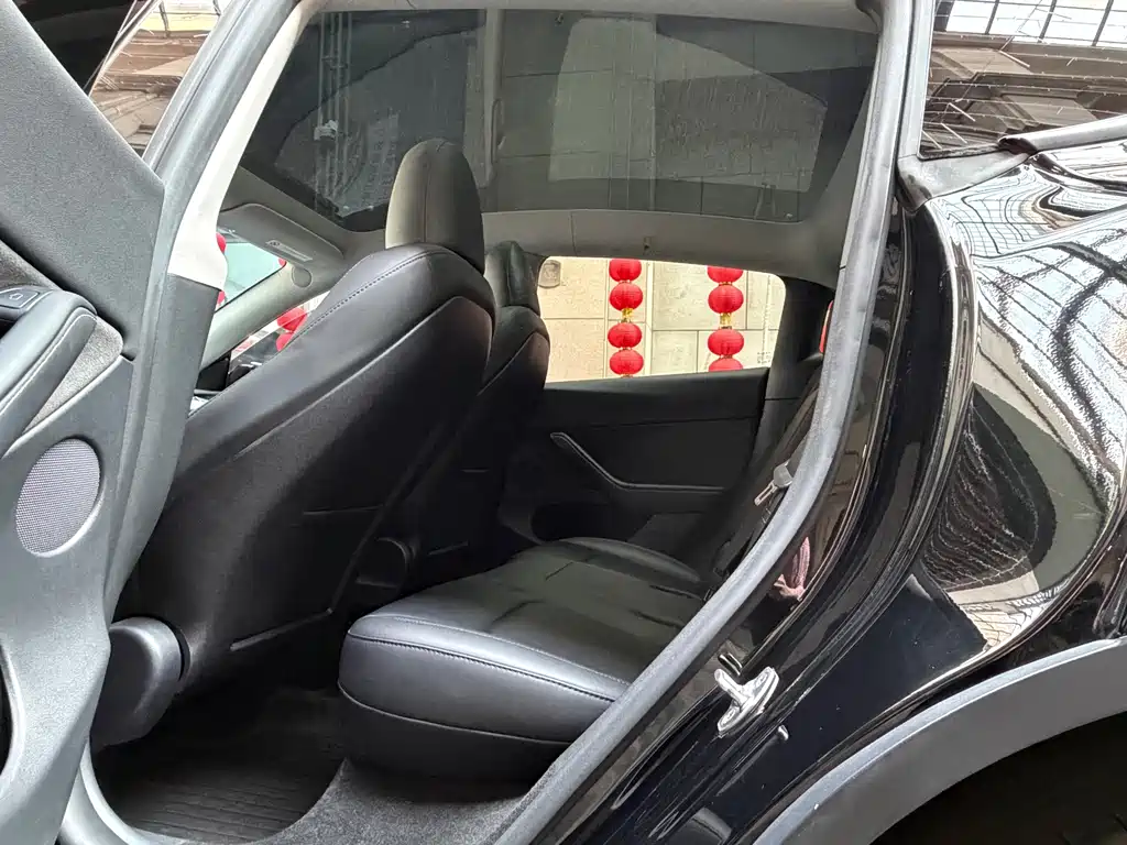 Tesla Model Y — миниатюра 5
