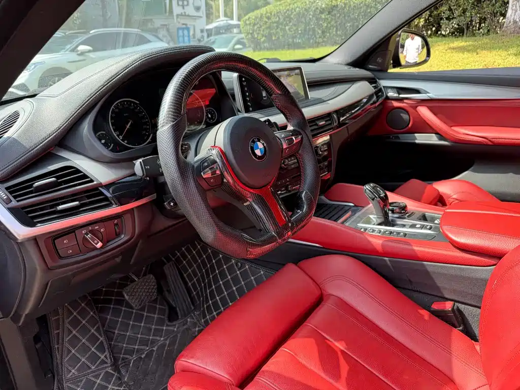 BMW X6 — миниатюра 7