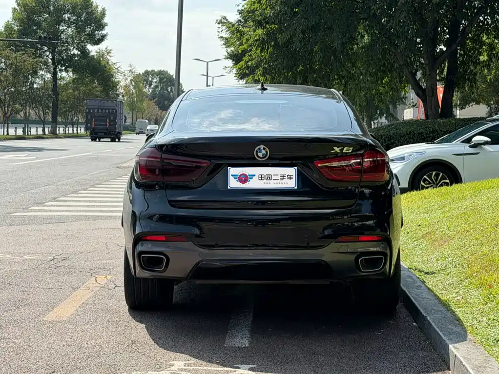 BMW X6 — миниатюра 5