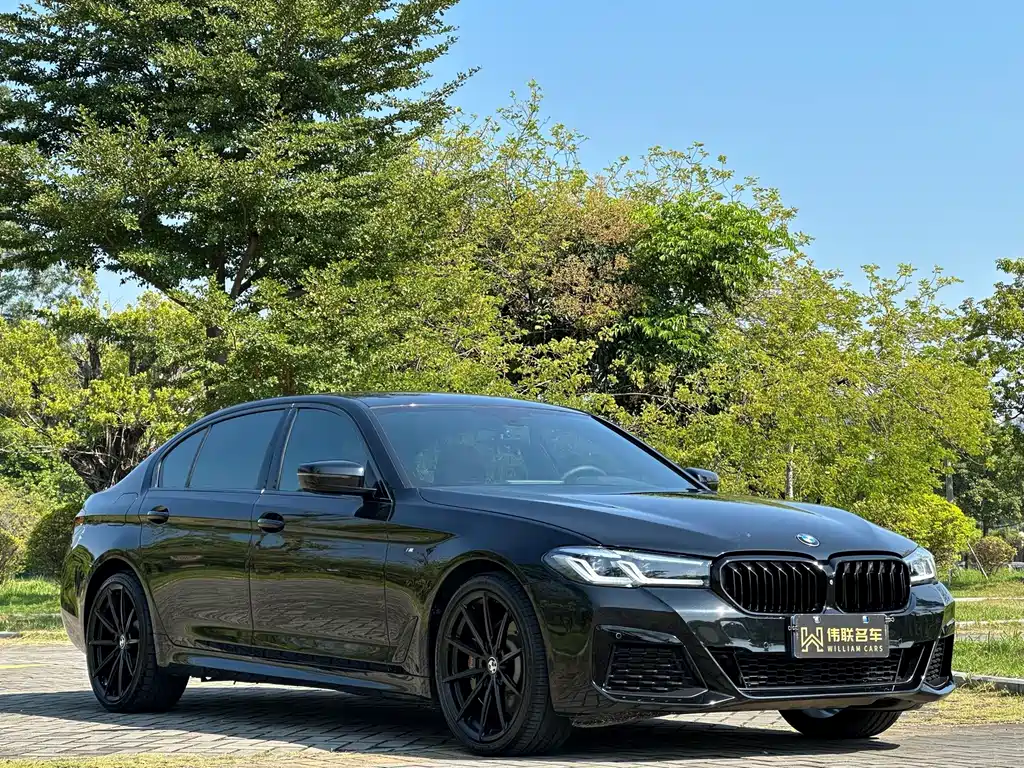 BMW 5 Series — миниатюра 3