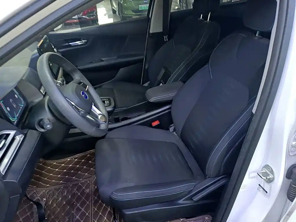 BYD e2 — миниатюра 15