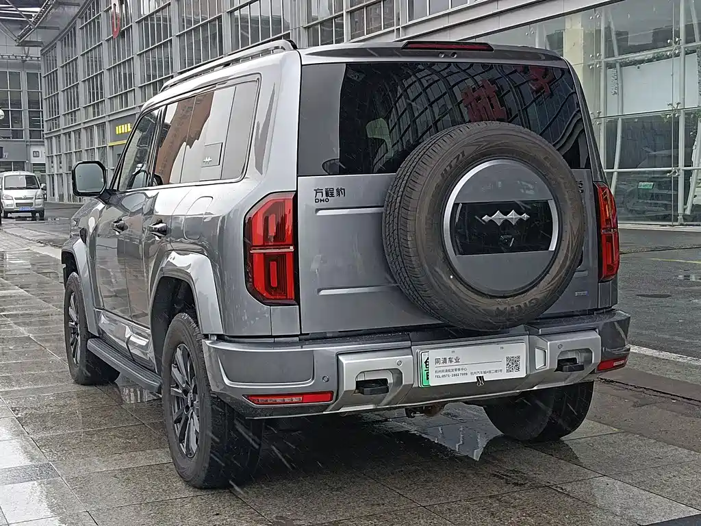 FANG CHENG BAO LEOPARD 5