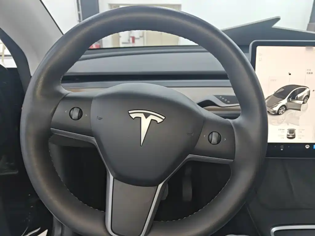 Tesla Model Y — миниатюра 11