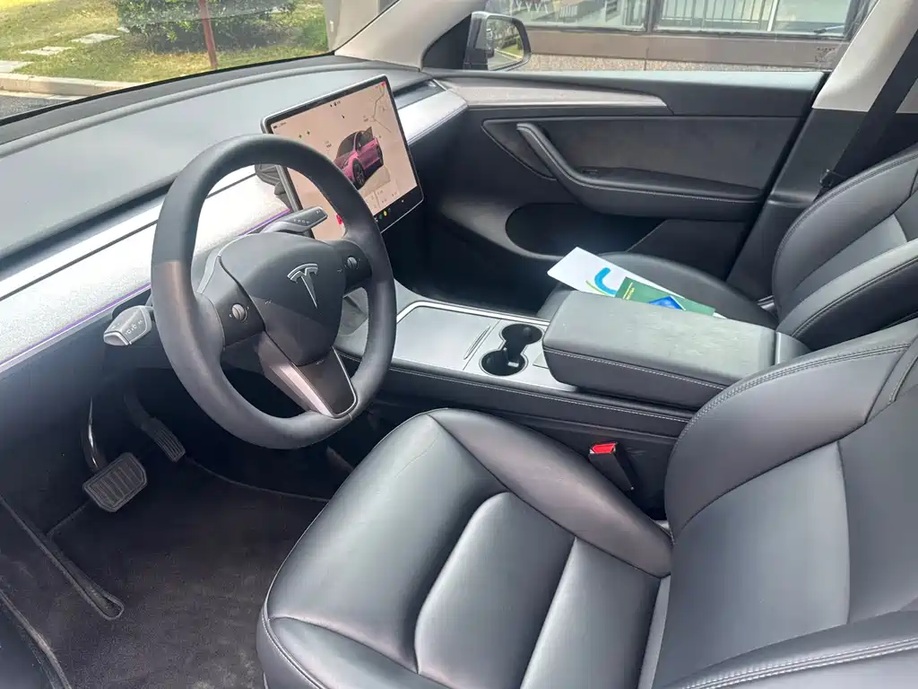 Tesla Model Y — миниатюра 10